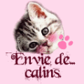 calin 