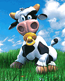 vache 