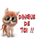 dingue